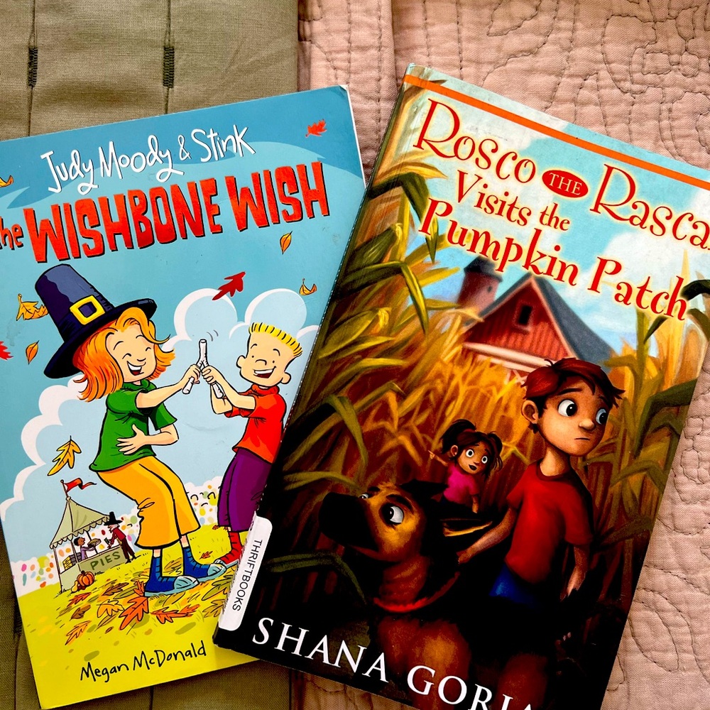 🍁🍂Fall chapter book bundle